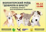 Приюту для беспризорных животных в Бресте требуется помощь волонтеров 